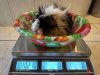 IMG_4574.jpeg
