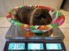 IMG_4575.jpeg