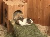 IMG_5261.jpeg