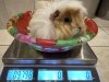 IMG_5329.jpeg