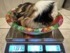 IMG_6761.jpeg
