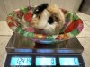 IMG_6763.jpeg