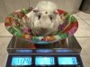 IMG_6757.jpeg
