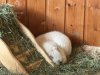 IMG_9284.jpeg