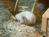 IMG_9790.jpeg